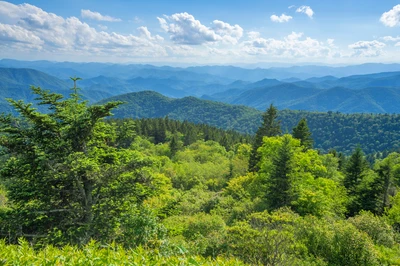 view during summer in the smokies
