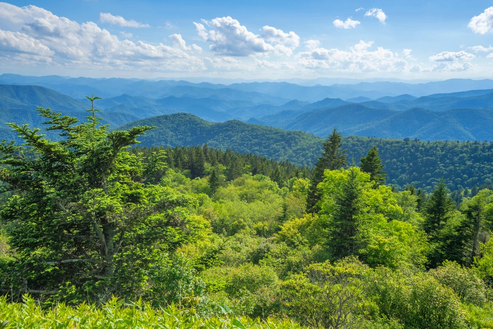 view during summer in the smokies