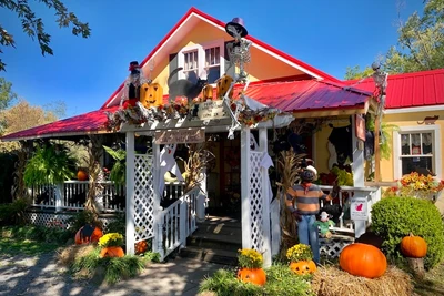 Smoky Mountain Cat House is one of the unusual things to do in Pigeon Forge TN