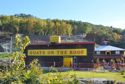 Goats on the Roof is one of the unusual things to do in Pigeon Forge TN
