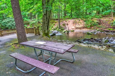 Smoky Mountain picnic areas