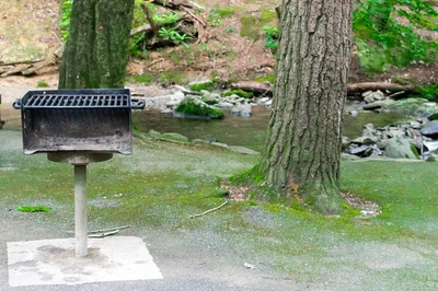 Smoky Mountain picnic areas