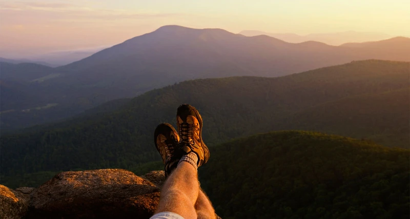 THE GRAND VIEW