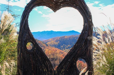 anakeesta is one of the best places to see the fall colors in the Smoky Mountains
