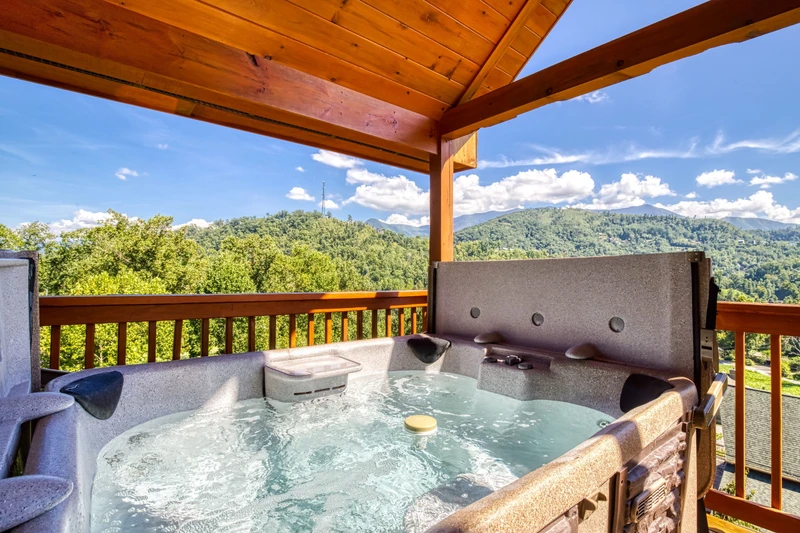 MOUNTAIN VIEW POOL LODGE