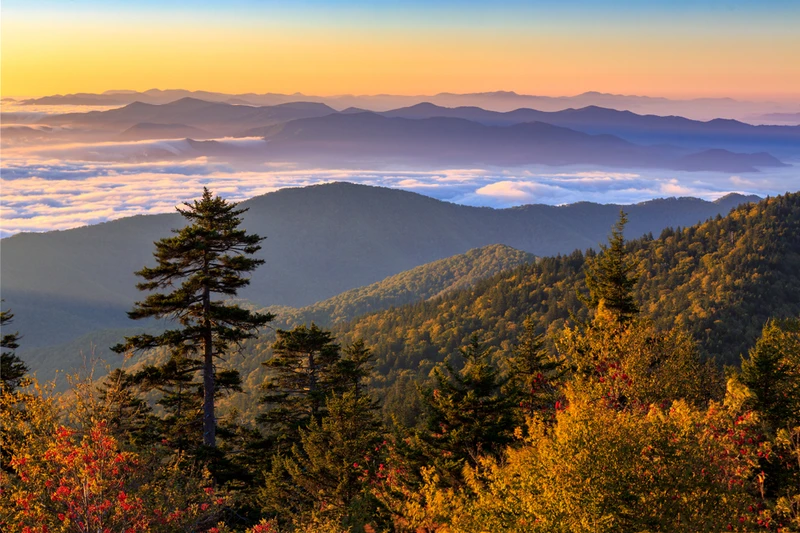 kuwohi in the smoky mountains in the fall