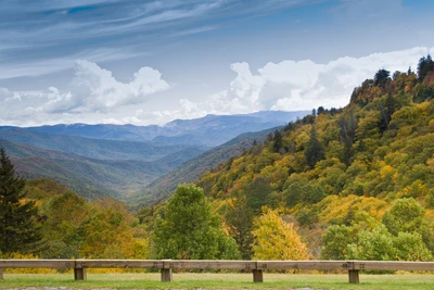 newfound gap road is full of Smoky Mountain fall foliage