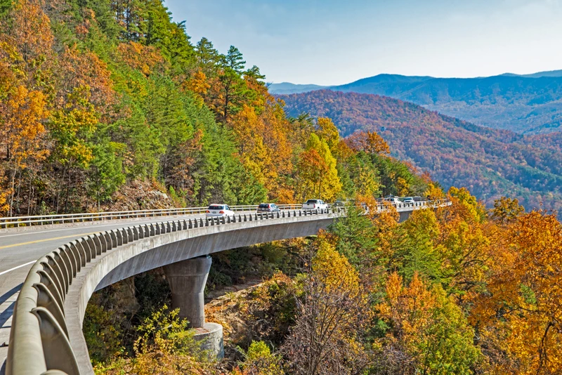 foothills parkway is full of Smoky Mountain fall foliage