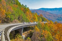 foothills parkway is full of Smoky Mountain fall foliage