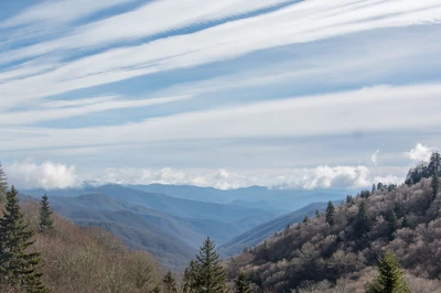january is a great time to visit the Smoky Mountains on a budget