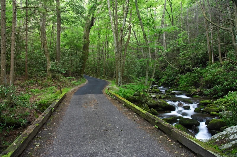 roaring fork motor nature trail is one of the top scenic drives in the Smoky Mountains
