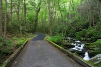 roaring fork motor nature trail is one of the top scenic drives in the Smoky Mountains
